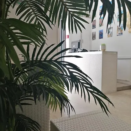 酒店 比利罗酒店